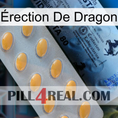 Érection De Dragon 44